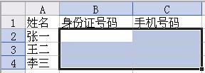 教你如何设置WPS表格文字格式的正确输入法